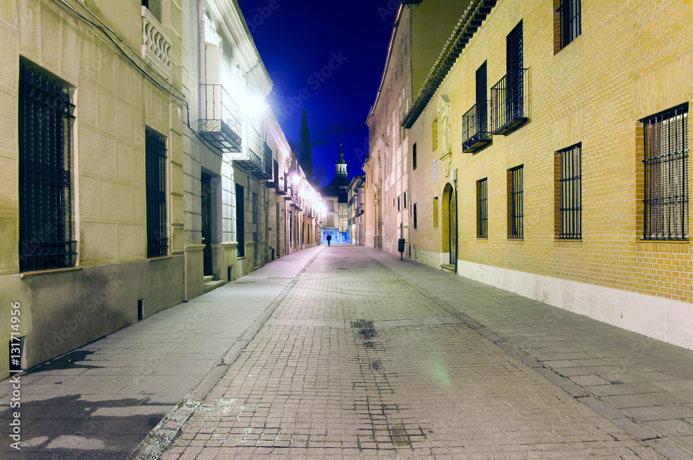 Obraz premium streets, monuments and old buildings of the town of Alcala de He