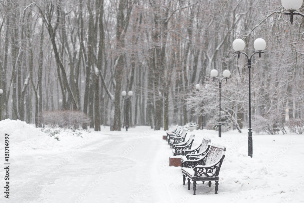 snow-covered bench in a city park in the winter