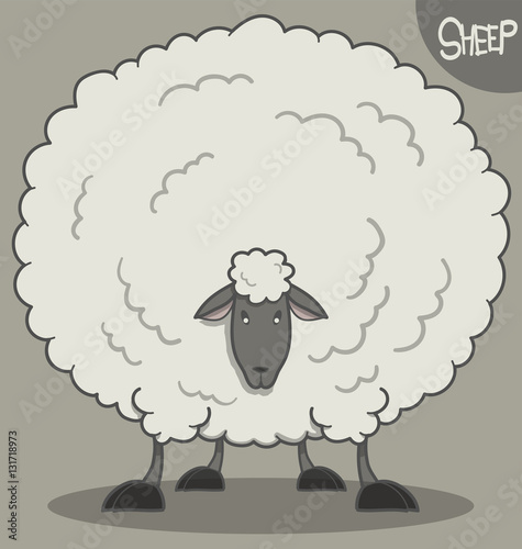 funny cartoon fluffy white sheep
