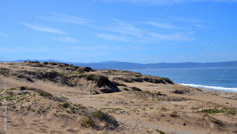 Sand Dunes and Beach near Monterey at the Pacific Coast with blue sky Sand Dunes and Beach near Monterey at the Pacific Coast with blue sky