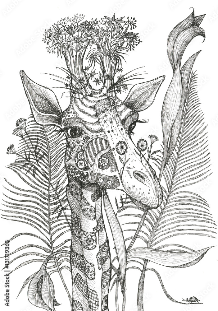 Fototapeta premium Giraffe, ink drawing