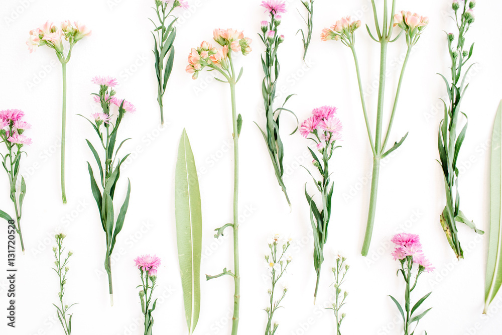 Colorful wildflowers on white background. Flat lay, top view. Valentine's background