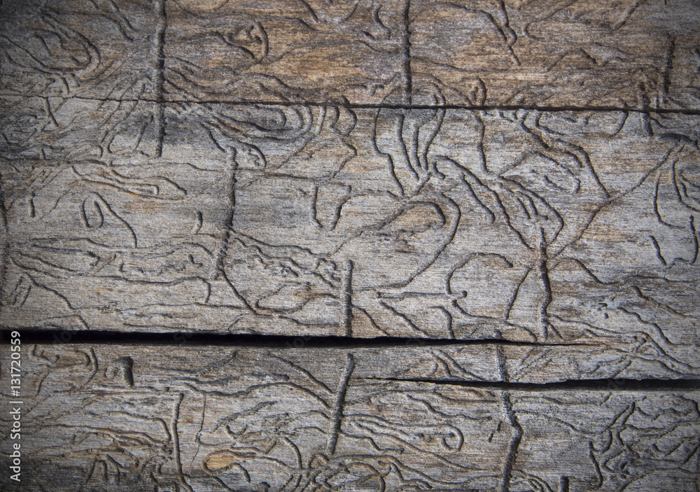 Wood texture