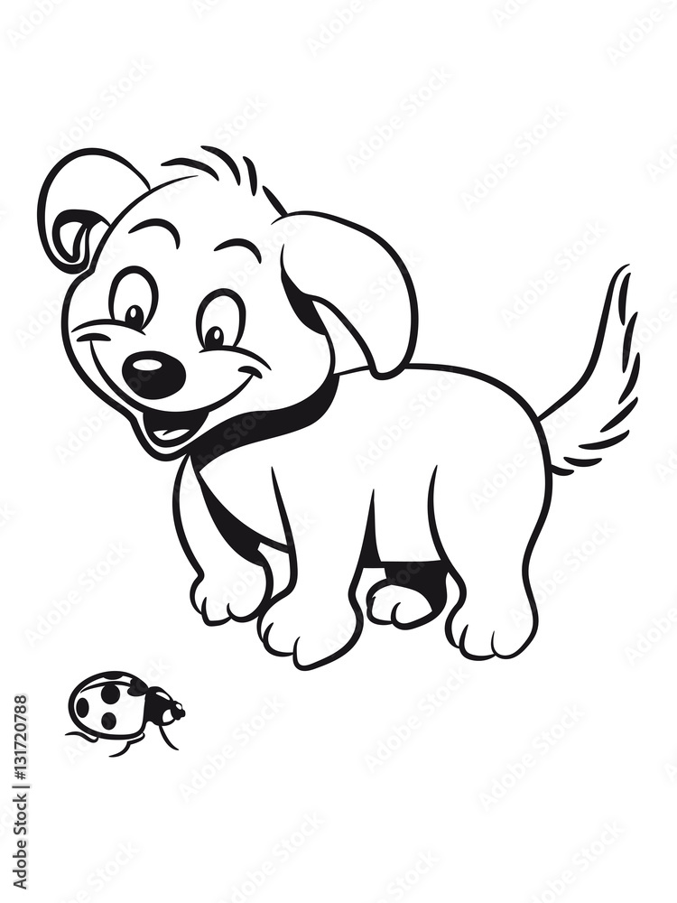 Dog baby cute sweet cute ladybug Dog baby cute sweet cute ladybug