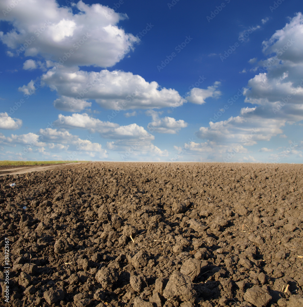 Plowed field in spring time with blue sky Plowed field in spring time with blue sky