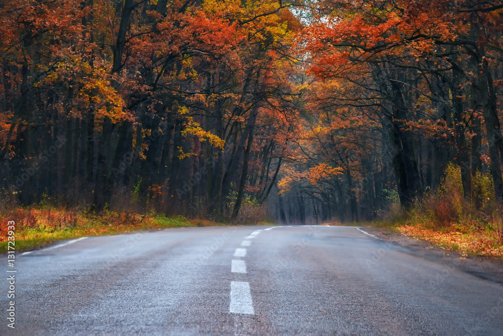 Desert asphalted road leaving for turn in the autumn forest. soft selective focus. Bright yellow and red leaves in autumn day.
Desert asphalted road leaving for turn in the autumn forest. soft selective focus. Bright yellow and red leaves in autumn day.