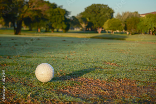 La pelota blanca en el campo de golf. photo