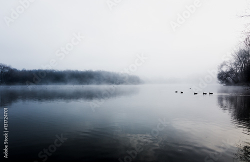 Mist hovering over a cold lake in Goldsworth Park, Surrey, Wokin