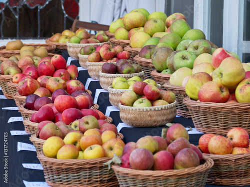 Eating and cooking apple varieties on display at an English autumn fair