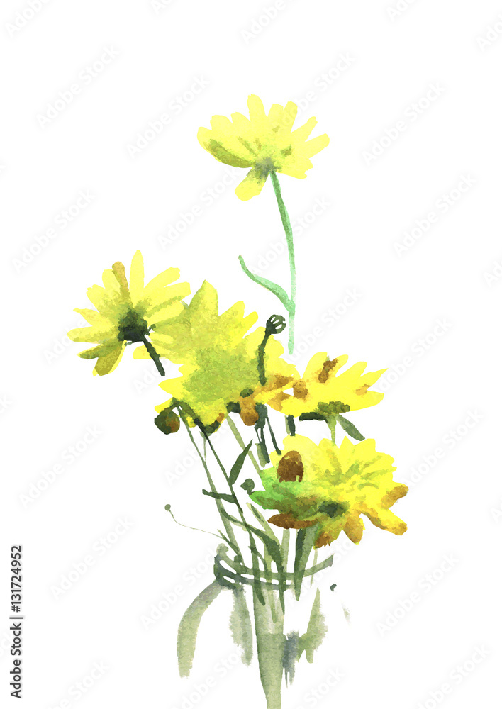 watercolor flower yellow, vector illustration Stock Vector Adobe Stock