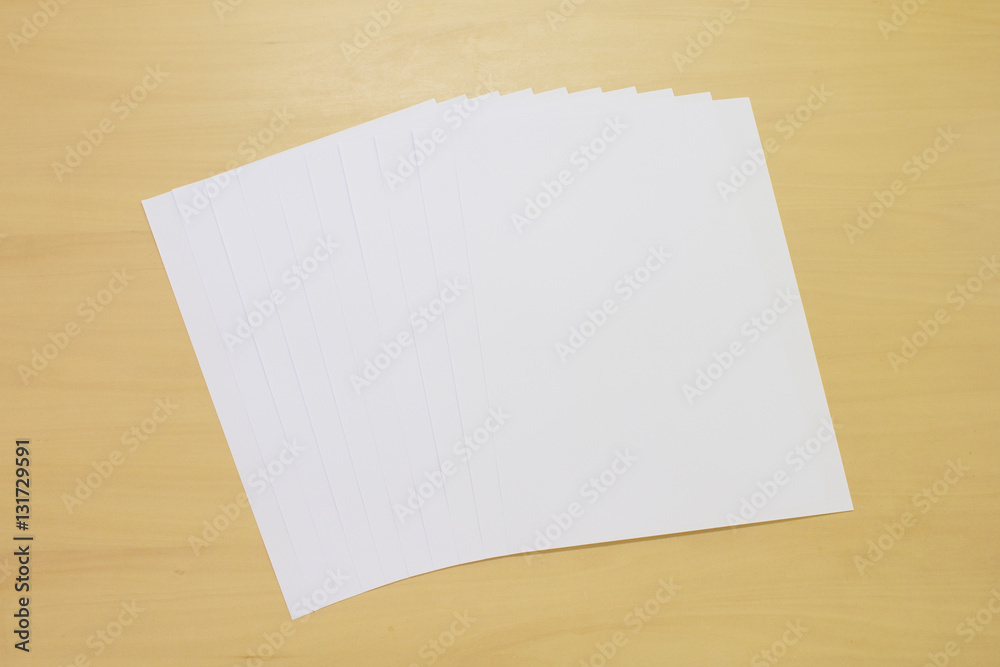 The white paper The white paper