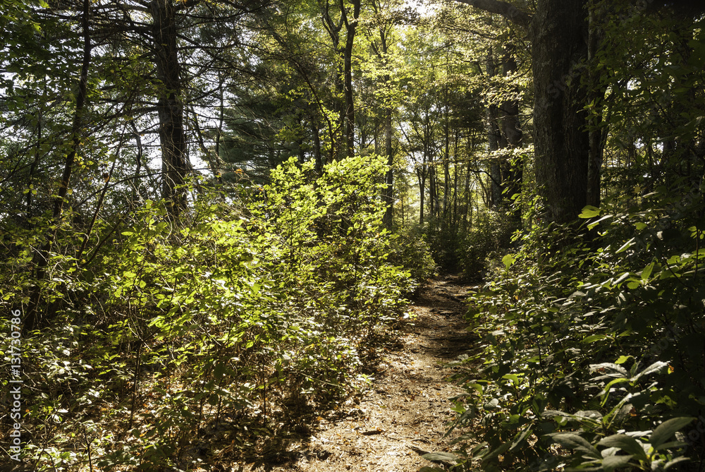 Obraz premium Trail in Borderland State Park