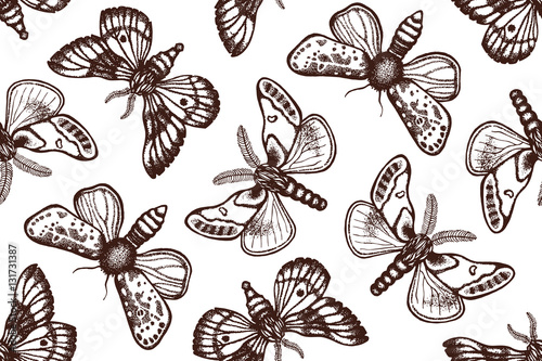 Seamless pattern with night butterflies in retro style. Biological background with insects. Hand drawn. Vector illustration. © Xenia