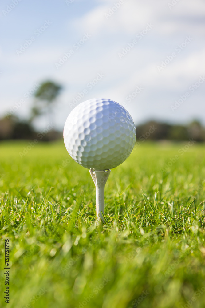 White Golf Ball on Tee