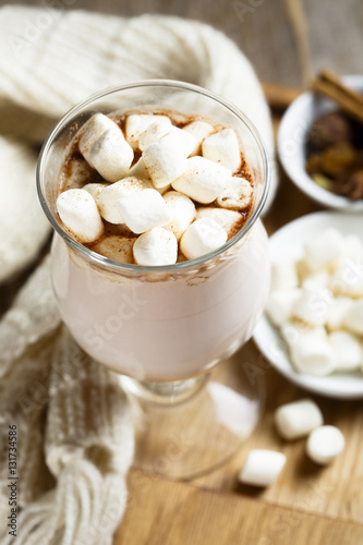 Hot cocoa drink with marshmallow
