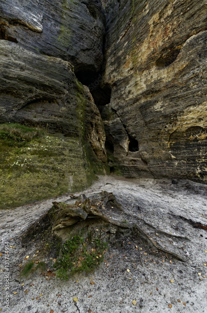 Close up shot of one part of a rock formation with a rugged foreground