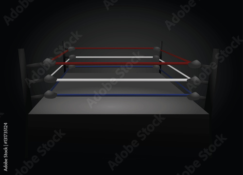 Boxing ring vector 