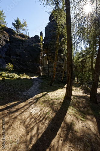 Shadows of trees on the path leading to tall cliffs