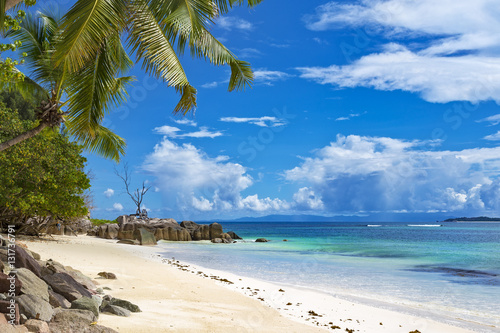 Tropical beach palm tree Seychelles islands