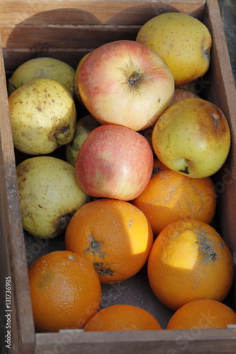 Fototapeta Naklejka Na Ścianę i Meble -  Basket of Apples and oranges