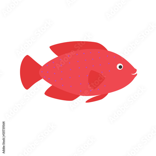 red aquarium exotic fish tropical