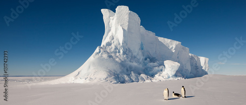 Emperor penguins in front of massive iceberg