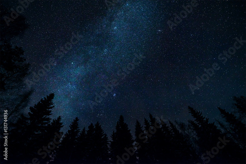 Milky way and tree tops in starry night sky landscape