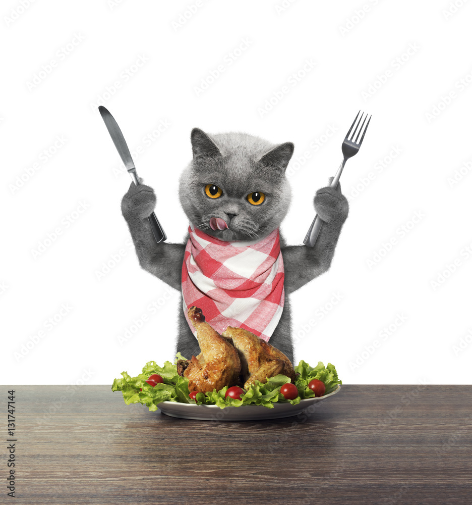 Cat is going to eat chicken StockFoto Adobe Stock