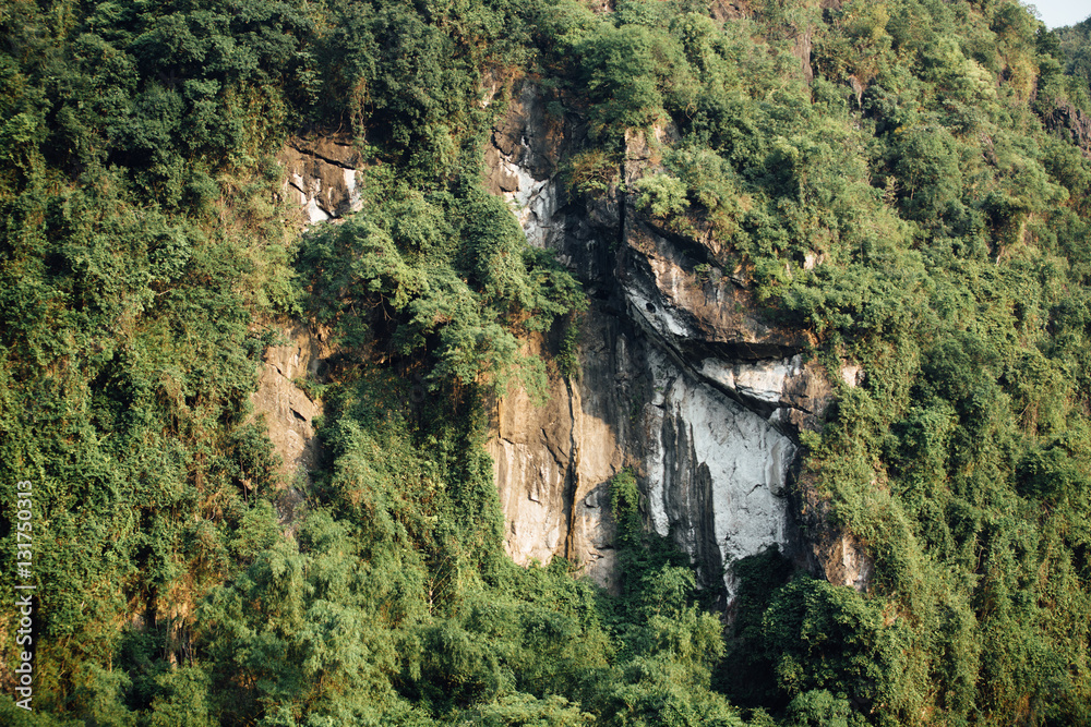 Spectacular rock face with green trees background, asia mountain