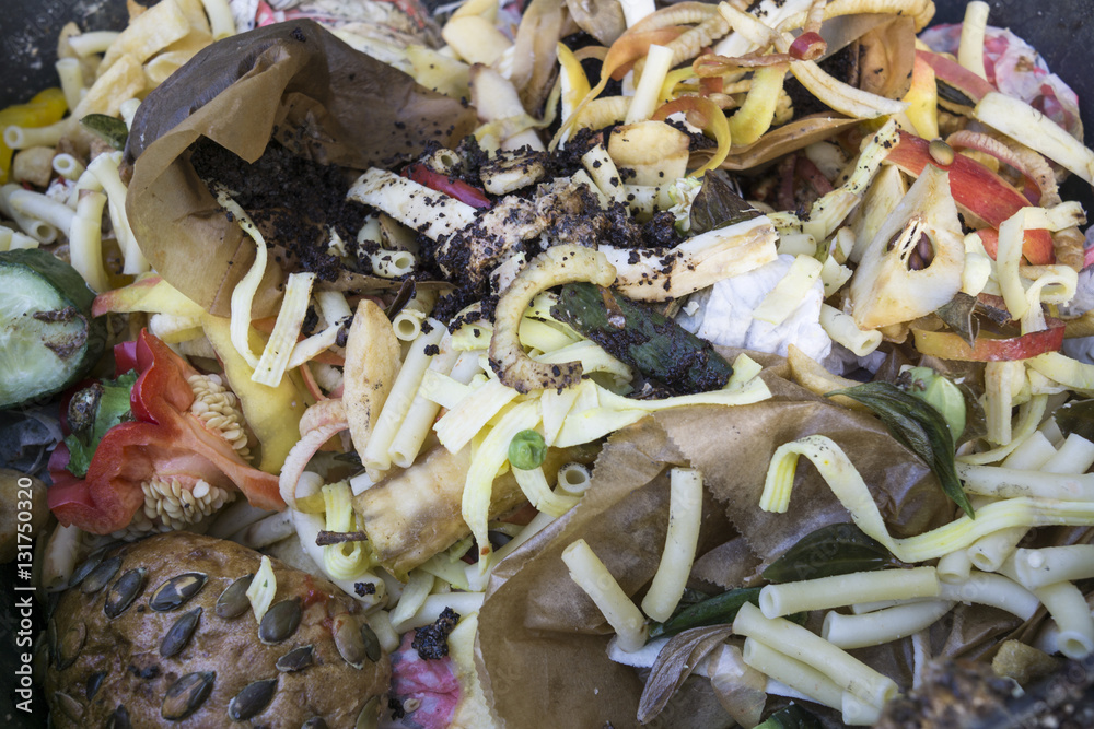 Various vegetable peelings, food and other waste for conceptual use.