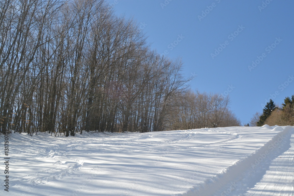 winter winter