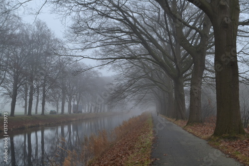 fietspad en verkeersweg langs mistig Apeldoorns kanaal met aan weerszijden Amerikaanse Eiken