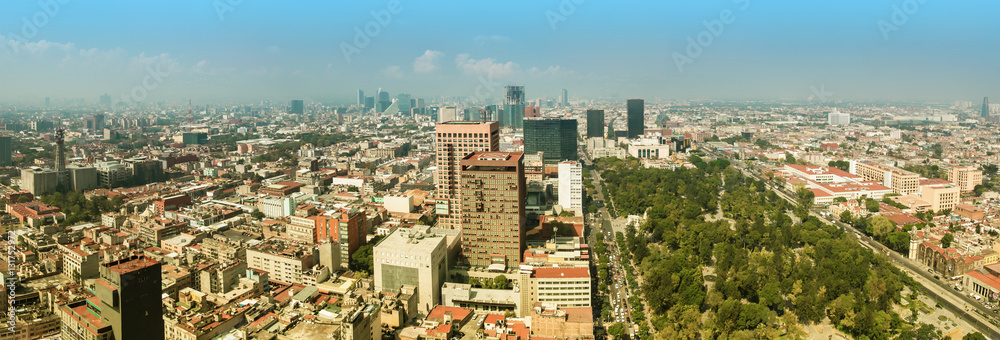 Mexico City Panorama