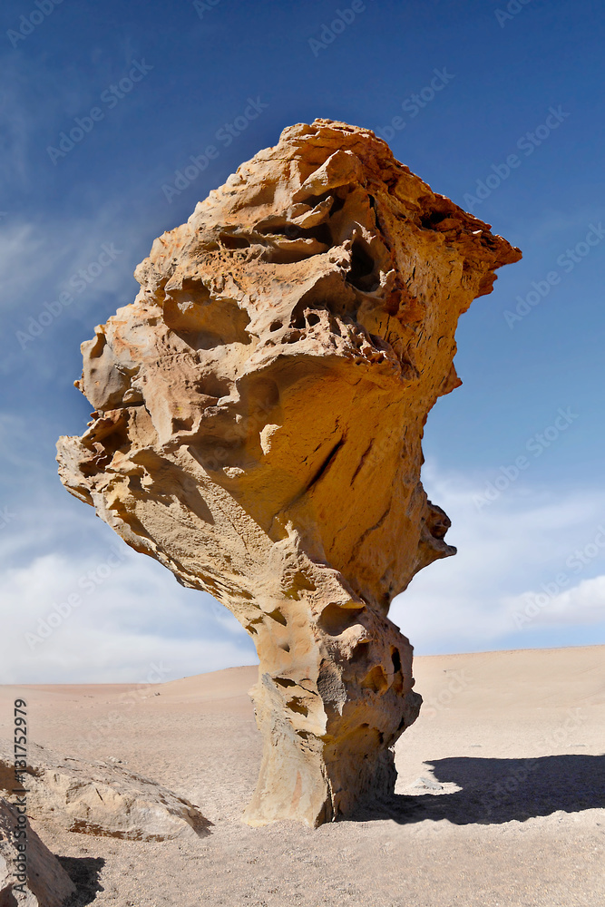Árbol de Piedra ("stone tree") an rock formation in Bolivian Altiplano desert
 - obrazy, fototapety, plakaty 