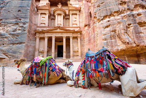 Camels lying in front of El-Khazneh in the ancient city of Petra