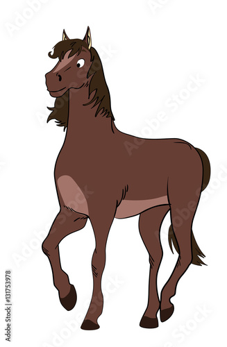 Caballo con fondo blanco
