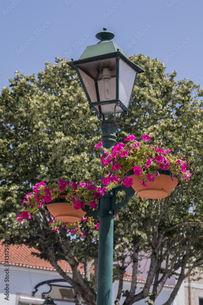 Street lamps with flower vases