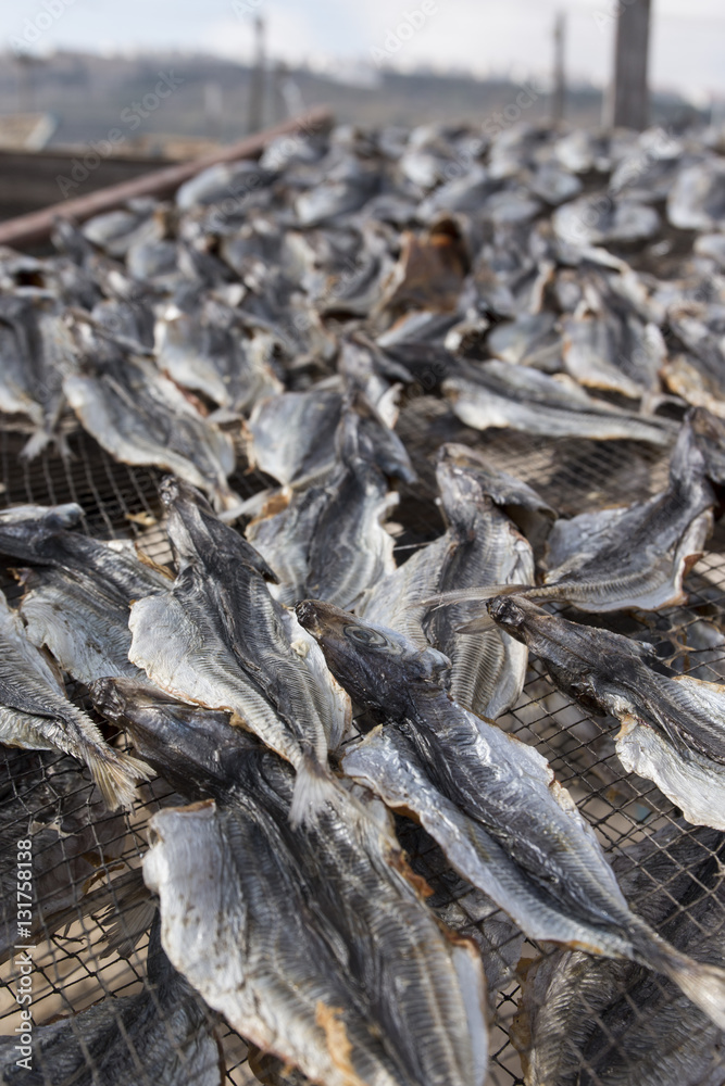 Drying fish in Nazare