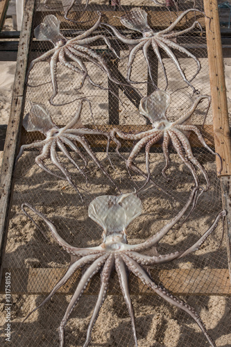 Drying octupus in Nazare