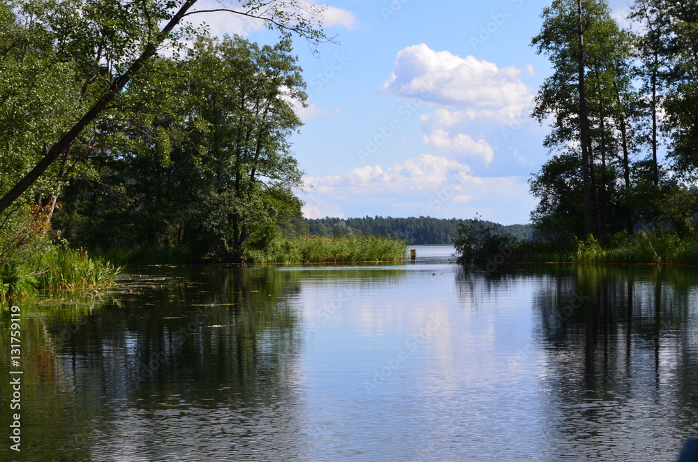 Obraz premium Dolina Rospudy/The Rospuda Valley, Podlasie, Poland