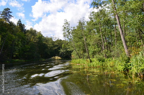 Dolina Rospudy/The Rospuda Valley, Poland