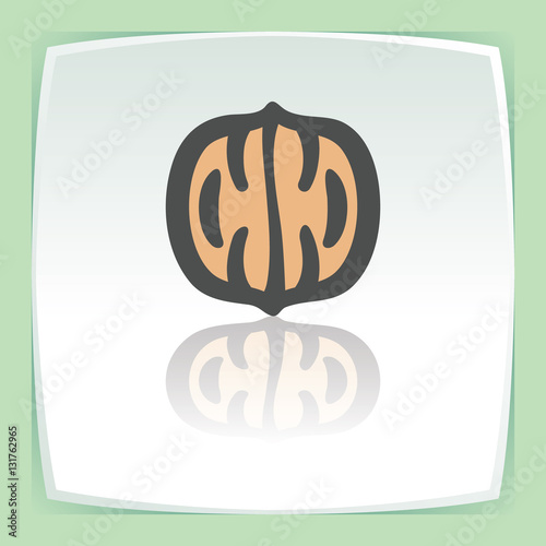 Vector outline walnut icon. Modern infographic logo and pictogram.