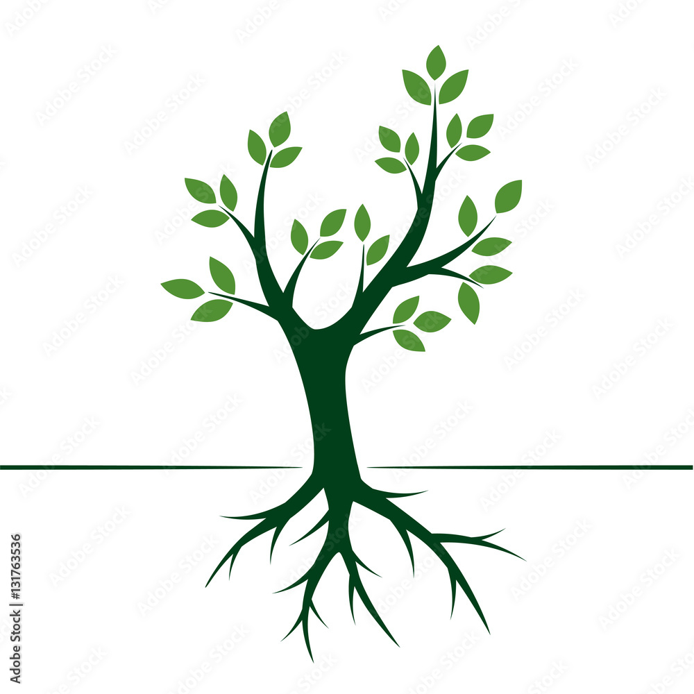 Obraz premium Green Tree. Vector Illustration