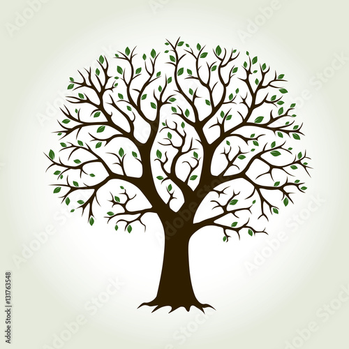 Color Tree and Roots. Vector Illustration.