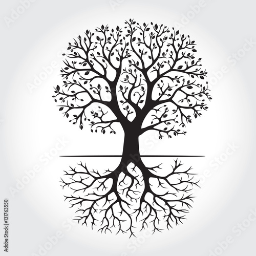 Shape of Tree and Roots. Vector Illustration.