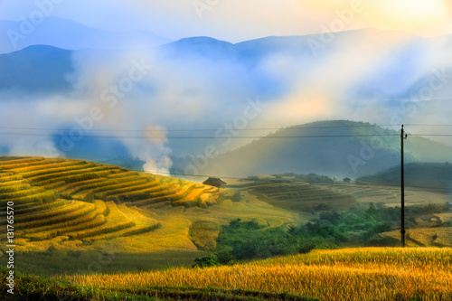 Fototapeta Naklejka Na Ścianę i Meble -  Rice fields on terraced of Mu Cang Chai, YenBai, Vietnam. Vietnam landscapes.