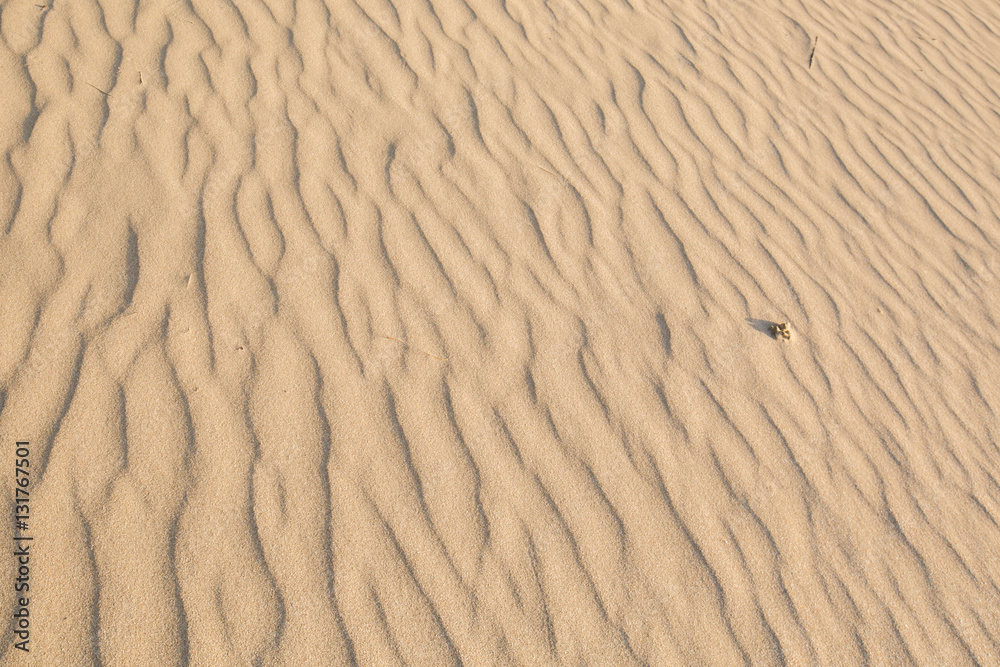 Sand Texture in morning at koh lanta ,Thailand Sand Texture in morning at koh lanta ,Thailand