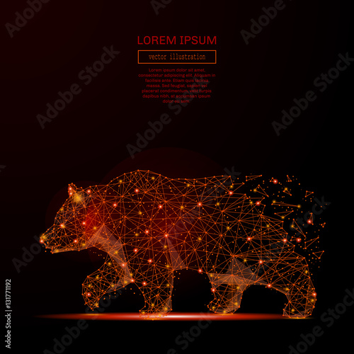 Abstract mash line and point bear in flames style on dark background with an inscription. Business Strength and power of a starry sky or space consisting of stars and the universe. Vector illustration