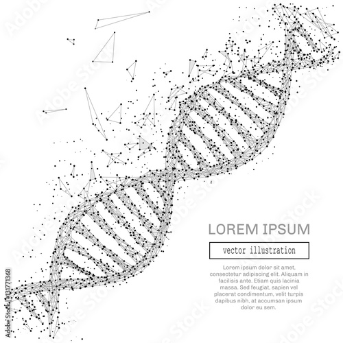 Grey DNA with polygon line on black abstract background. Polygonal space low poly with connecting dots and lines. Connection structure. Vector science background.