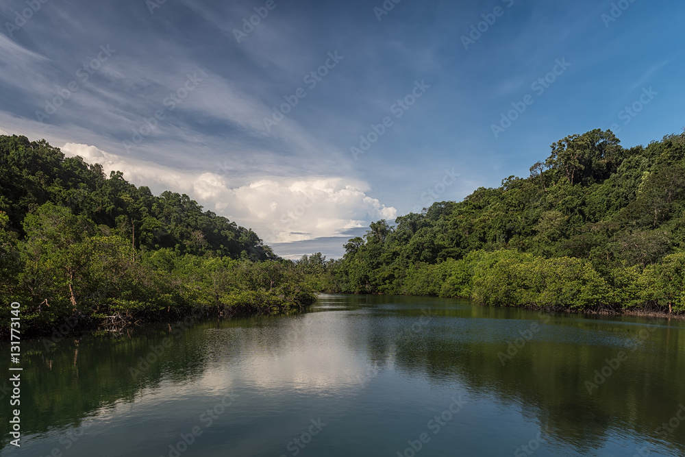 Mangrove laguna in Koh Kood.